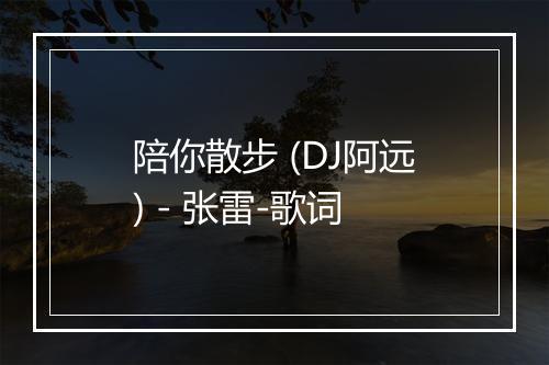 陪你散步 (DJ阿远) - 张雷-歌词