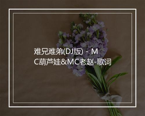 难兄难弟(DJ版) - MC葫芦娃&MC老赵-歌词