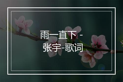 雨一直下 - 张宇-歌词