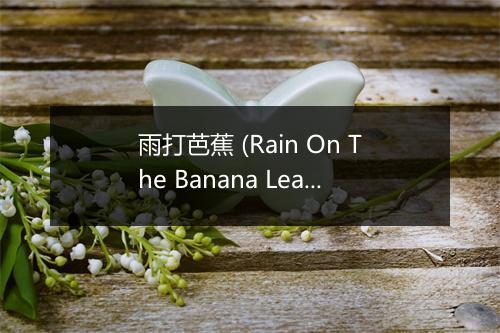 雨打芭蕉 (Rain On The Banana Leaves) - 於志伟-歌词