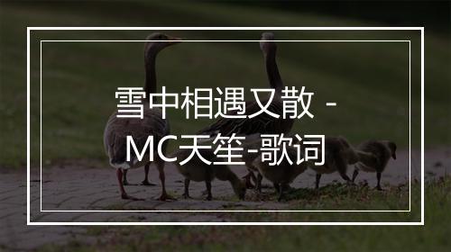 雪中相遇又散 - MC天笙-歌词