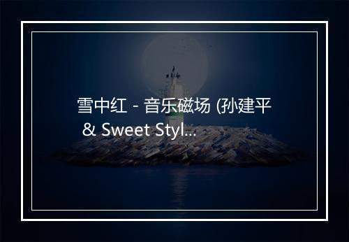 雪中红 - 音乐磁场 (孙建平 & Sweet Style)-歌词