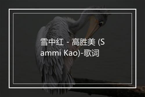 雪中红 - 高胜美 (Sammi Kao)-歌词