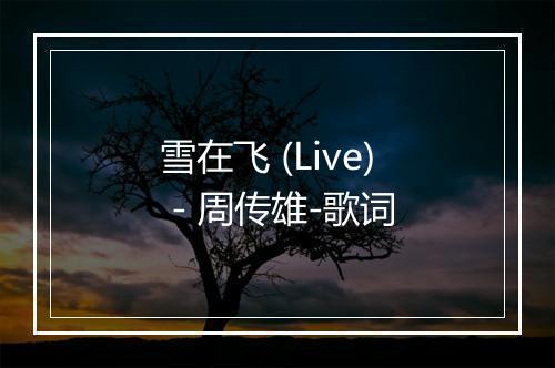 雪在飞 (Live) - 周传雄-歌词