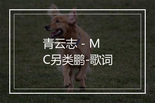 青云志 - MC另类鹏-歌词