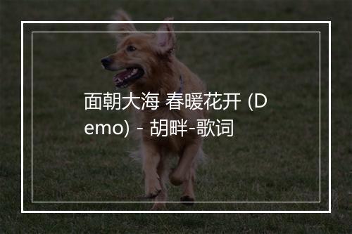 面朝大海 春暖花开 (Demo) - 胡畔-歌词