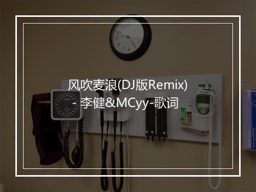 风吹麦浪(DJ版Remix) - 李健&MCyy-歌词