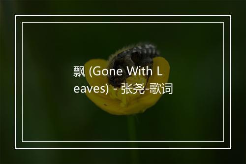 飘 (Gone With Leaves) - 张尧-歌词