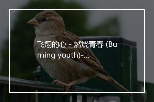 飞翔的心 - 燃烧青春 (Burning youth)-歌词