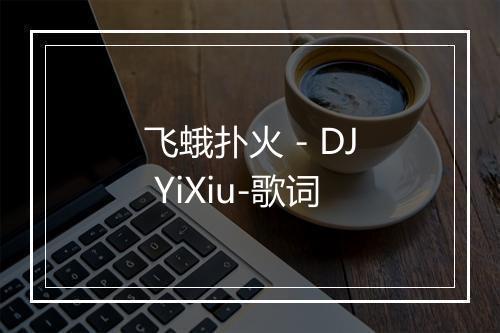 飞蛾扑火 - DJ YiXiu-歌词