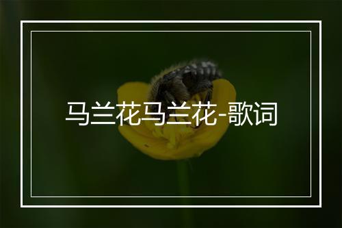 马兰花马兰花-歌词