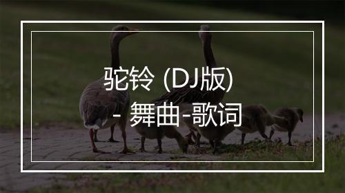 驼铃 (DJ版) - 舞曲-歌词