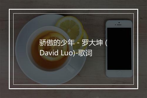 骄傲的少年 - 罗大坤 (David Luo)-歌词