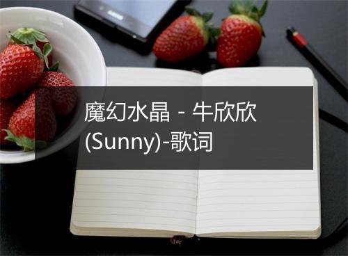 魔幻水晶 - 牛欣欣 (Sunny)-歌词