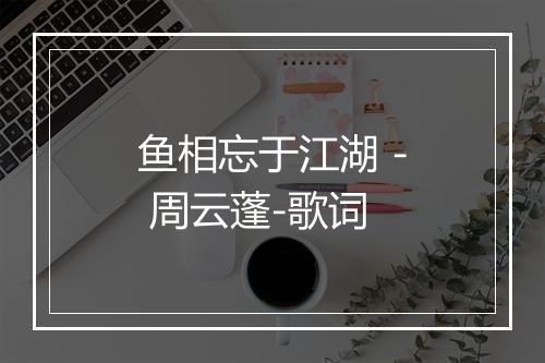 鱼相忘于江湖 - 周云蓬-歌词