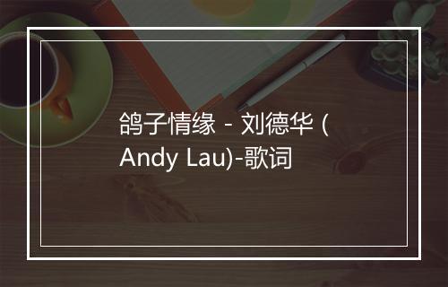 鸽子情缘 - 刘德华 (Andy Lau)-歌词