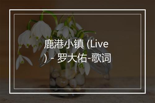 鹿港小镇 (Live) - 罗大佑-歌词