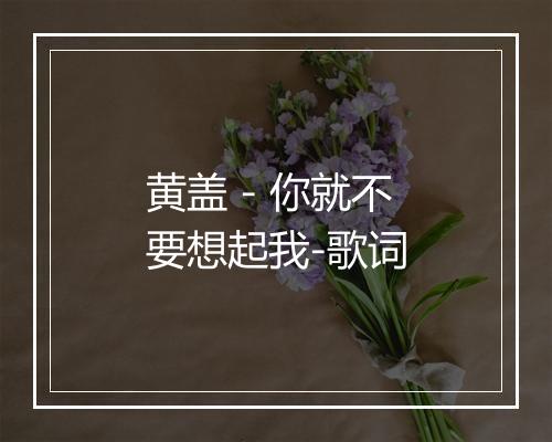 黄盖 - 你就不要想起我-歌词