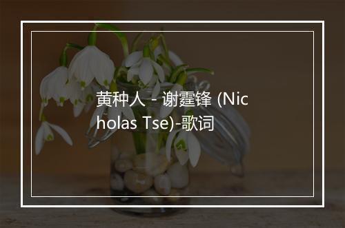 黄种人 - 谢霆锋 (Nicholas Tse)-歌词