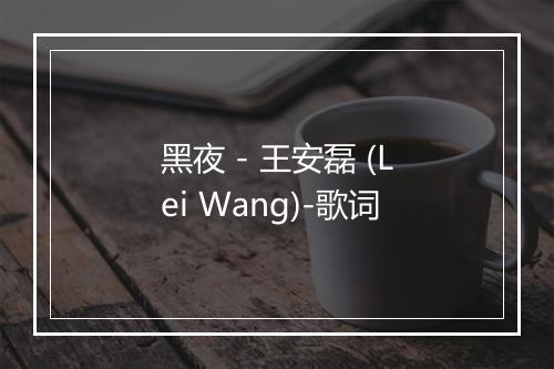 黑夜 - 王安磊 (Lei Wang)-歌词