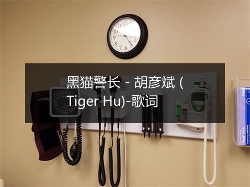 黑猫警长 - 胡彦斌 (Tiger Hu)-歌词