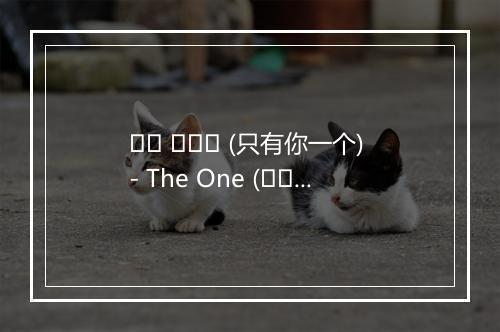 그대 하나만 (只有你一个) - The One (더원)-歌词