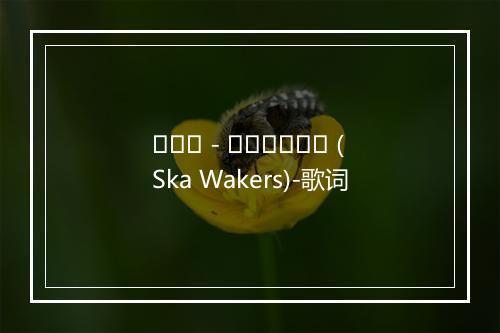 죽여라 - 스카웨이커스 (Ska Wakers)-歌词