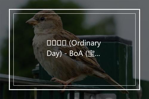 하루하루 (Ordinary Day) - BoA (宝儿)-歌词