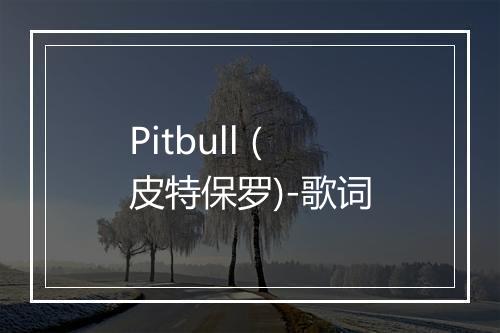 Pitbull (皮特保罗)-歌词