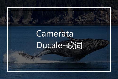 Camerata Ducale-歌词