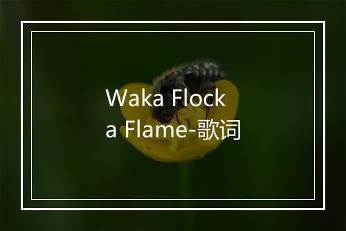 Waka Flocka Flame-歌词