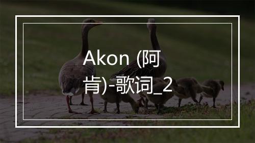 Akon (阿肯)-歌词_2