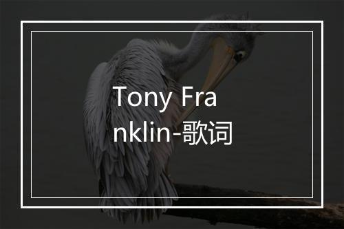 Tony Franklin-歌词