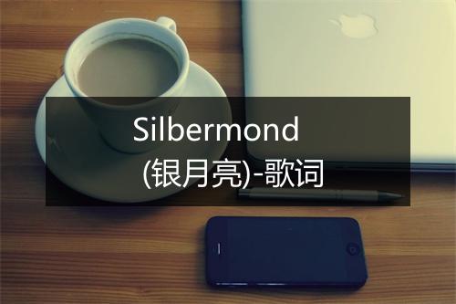 Silbermond (银月亮)-歌词