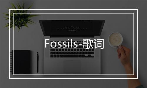 Fossils-歌词