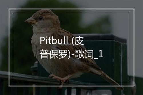 Pitbull (皮普保罗)-歌词_1