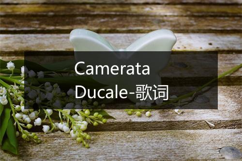 Camerata Ducale-歌词