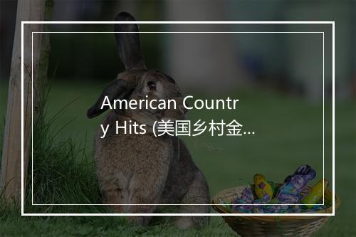 American Country Hits (美国乡村金曲)-歌词