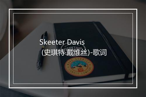 Skeeter Davis (史琪特·戴维丝)-歌词