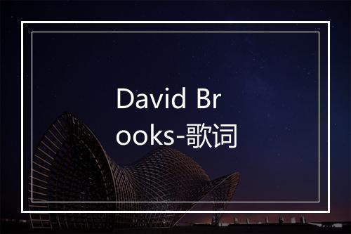 David Brooks-歌词