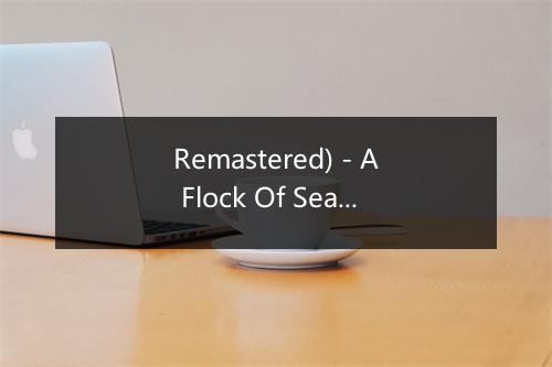 Remastered) - A Flock Of Seagulls-歌词