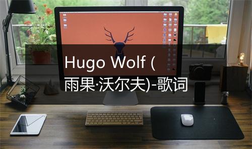 Hugo Wolf (雨果·沃尔夫)-歌词