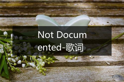 Not Documented-歌词