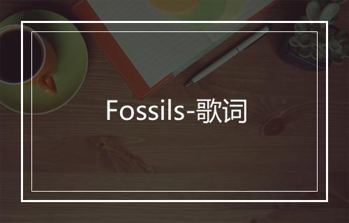 Fossils-歌词