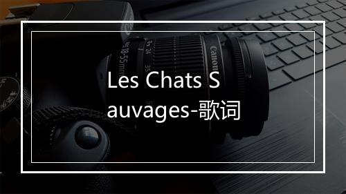 Les Chats Sauvages-歌词