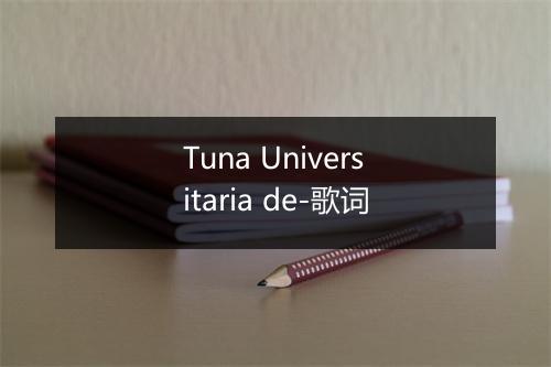 Tuna Universitaria de-歌词