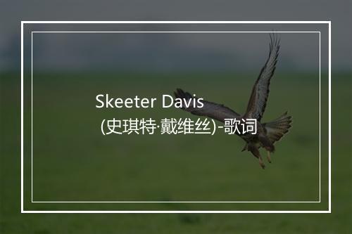 Skeeter Davis (史琪特·戴维丝)-歌词