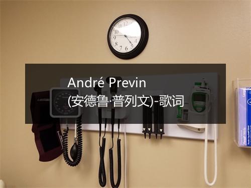 André Previn (安德鲁·普列文)-歌词