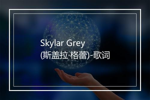 Skylar Grey (斯盖拉·格蕾)-歌词