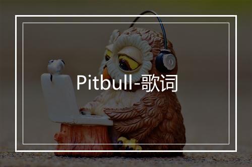 Pitbull-歌词